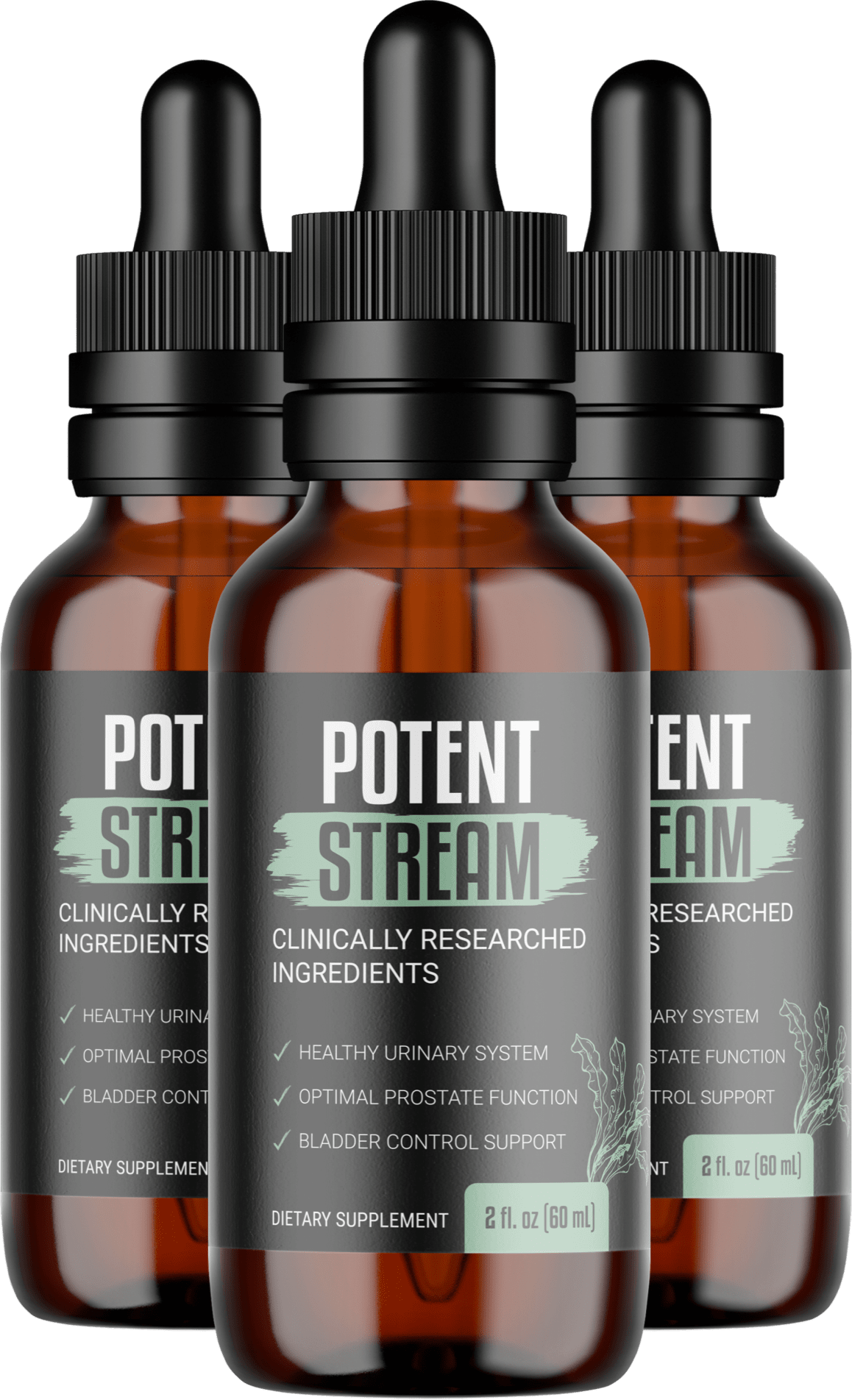 PotentStream Supplement PotentStream Supplement